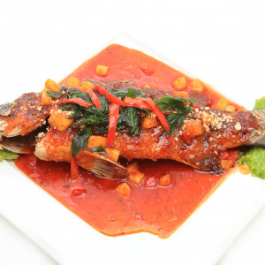 Snapper