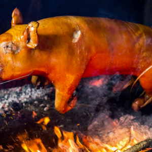 Pig Roast