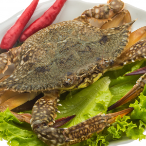 Soft Shell Crab